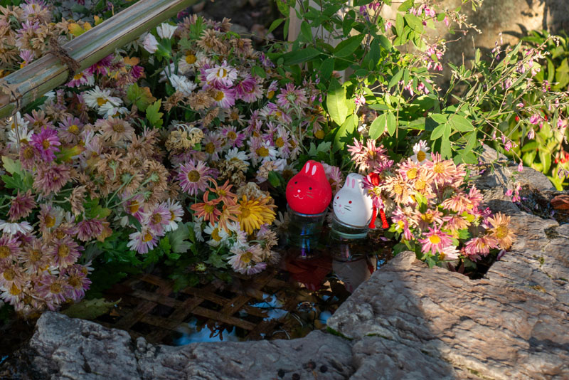 倉敷阿智神社散策,花纏守、紫藤花與從高處俯瞰的美觀地區 14 %E6%89%8B%E5%B8%B304 1180498