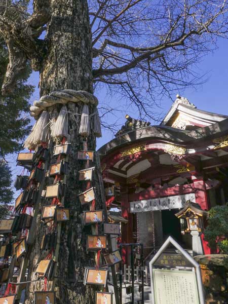 1117 1360043 %E8%A4%87%E8%A3%BD