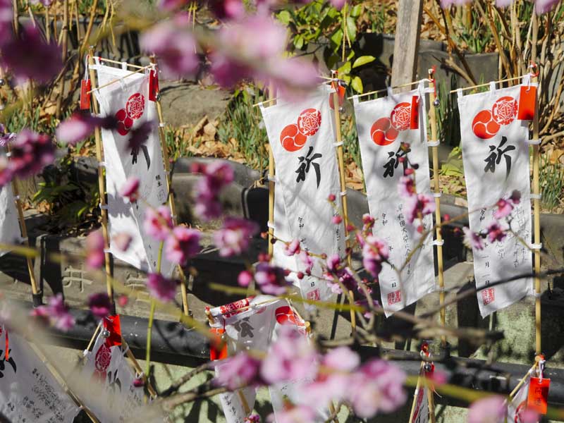 1117 1360142 %E8%A4%87%E8%A3%BD