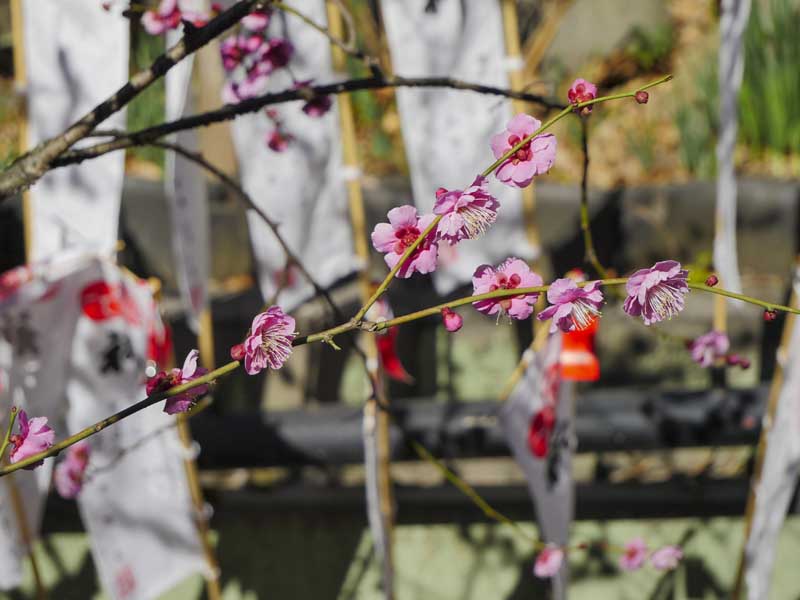 1117 1360145 %E8%A4%87%E8%A3%BD