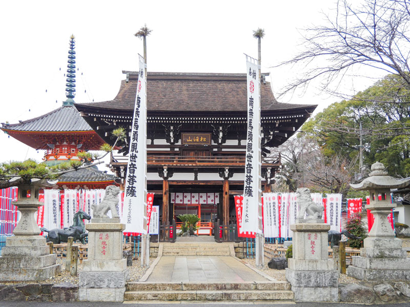 名古屋貓寺龍泉寺遊記:貓之日雪中造訪,等到親人的虎斑寺貓 9 1117 1360439