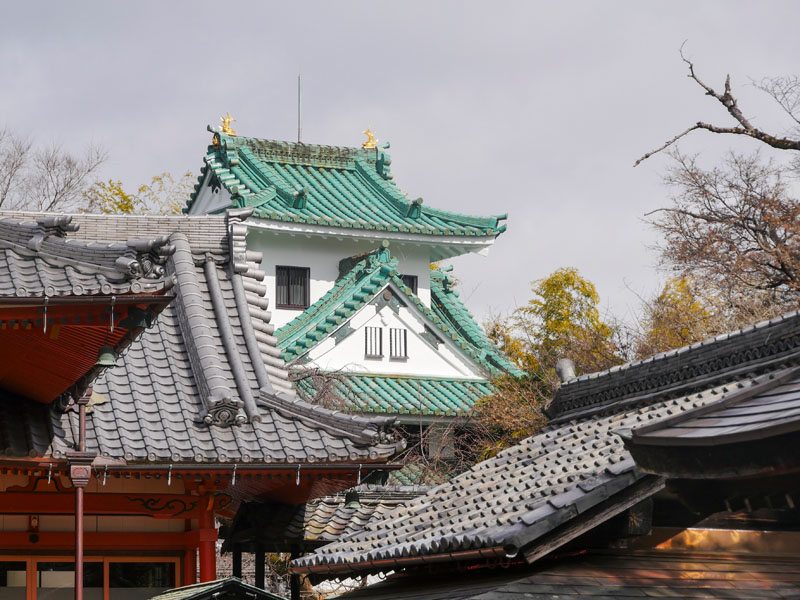 名古屋貓寺龍泉寺遊記:貓之日雪中造訪,等到親人的虎斑寺貓 15 1117 1360475