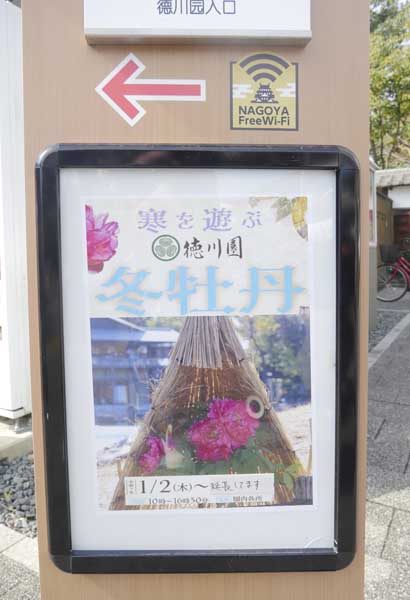 名古屋德川園女兒節冬日散策:流雛儀式與冬牡丹風景 13 1117 1370056