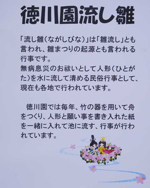 名古屋德川園女兒節冬日散策:流雛儀式與冬牡丹風景 20 名古屋德川園流雛儀式介紹