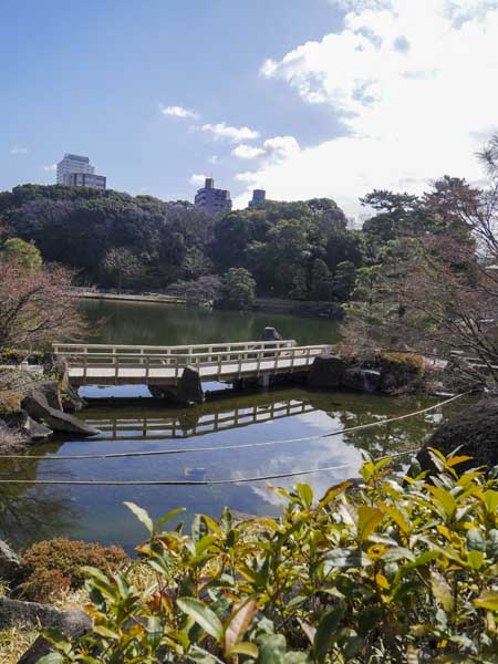 名古屋德川園女兒節冬日散策:流雛儀式與冬牡丹風景 23 1117 1370164