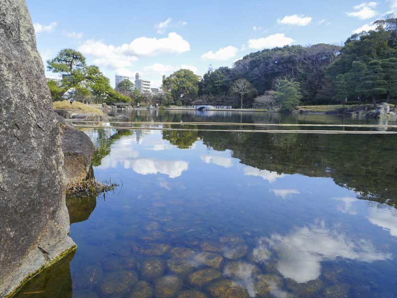 名古屋德川園女兒節冬日散策:流雛儀式與冬牡丹風景 8 1117 1370269