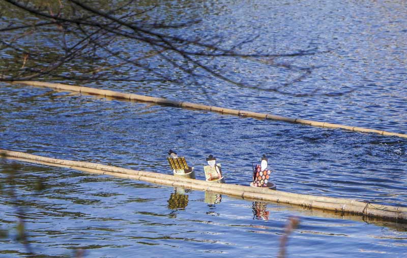 名古屋德川園女兒節冬日散策:流雛儀式與冬牡丹風景 22 1117 1370589