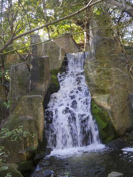 名古屋德川園女兒節冬日散策:流雛儀式與冬牡丹風景 6 1117 1370592