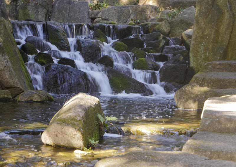 名古屋德川園女兒節冬日散策:流雛儀式與冬牡丹風景 7 1117 1370604
