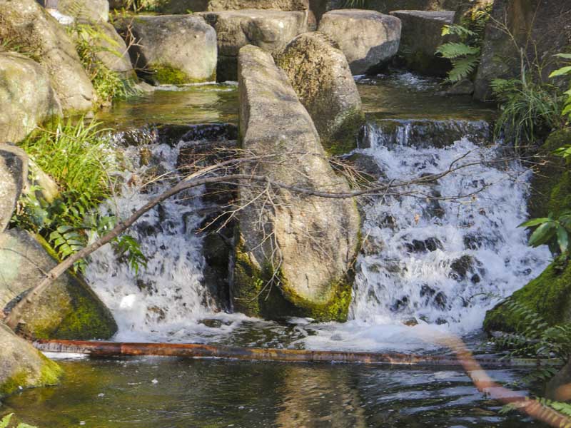 名古屋德川園女兒節冬日散策:流雛儀式與冬牡丹風景 9 1117 1370610