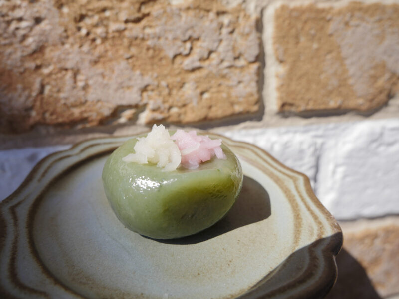 1117 1380072 scaled e1771578993765