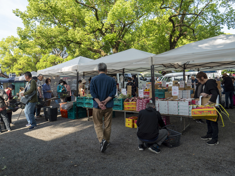 京都東寺弘法市逛街心得,太早會餓、太晚會逛不完的市集時間攻略 17 20240521 P1250044