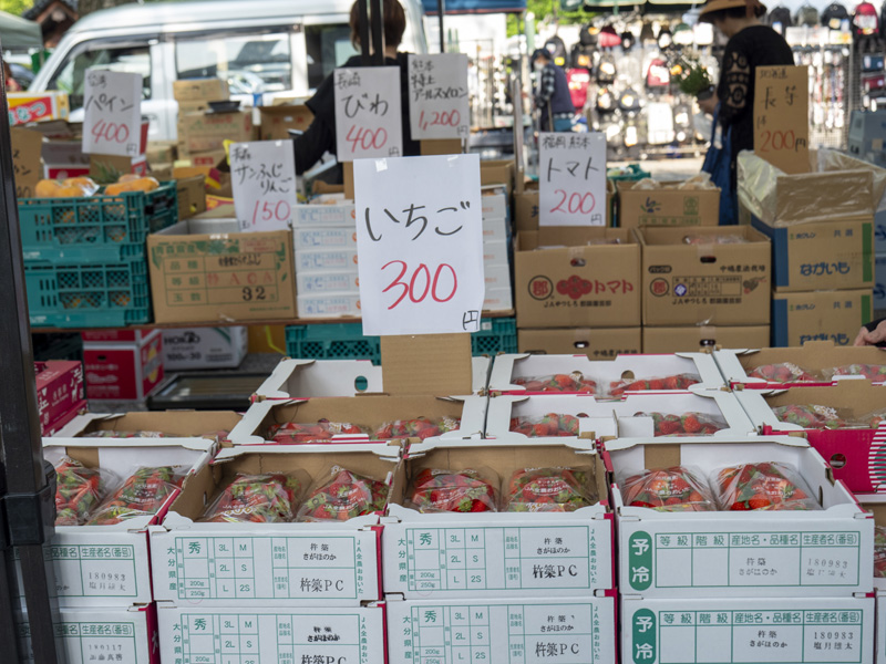 京都東寺弘法市逛街心得,太早會餓、太晚會逛不完的市集時間攻略 20 20240521 P1250046