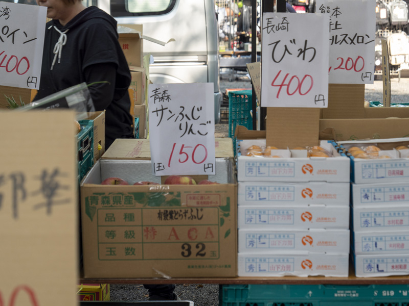 京都東寺弘法市逛街心得,太早會餓、太晚會逛不完的市集時間攻略 19 20240521 P1250047