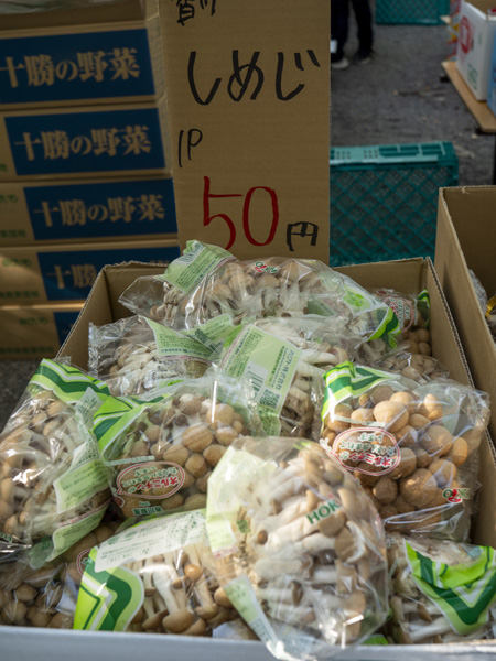 京都東寺弘法市逛街心得,太早會餓、太晚會逛不完的市集時間攻略 18 20240521 P1250051