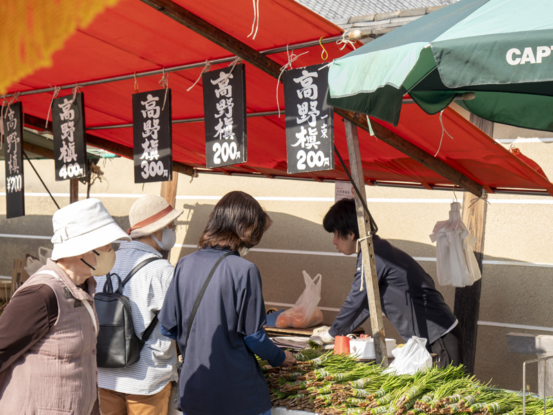 京都東寺弘法市逛街心得,太早會餓、太晚會逛不完的市集時間攻略 22 20240521 P1250055