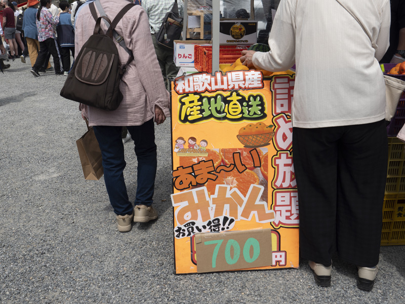 京都東寺弘法市逛街心得,太早會餓、太晚會逛不完的市集時間攻略 21 20240521 P1250115