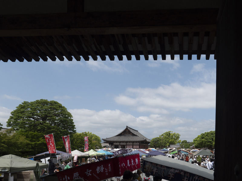京都東寺弘法市逛街心得,太早會餓、太晚會逛不完的市集時間攻略 38 20240521 P1250121