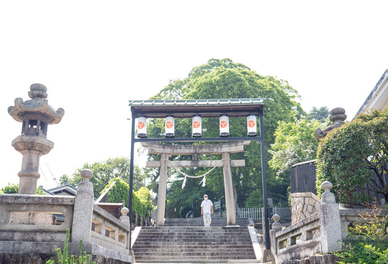 倉敷阿智神社散策,花纏守、紫藤花與從高處俯瞰的美觀地區 6 20240524 P1260957 e1777535785812