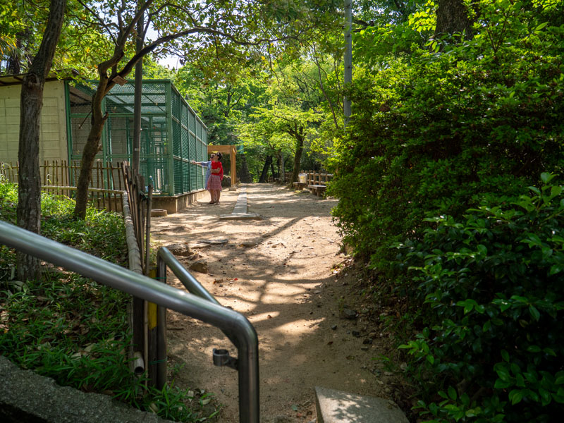 倉敷阿智神社散策,花纏守、紫藤花與從高處俯瞰的美觀地區 8 20240524 P1270018